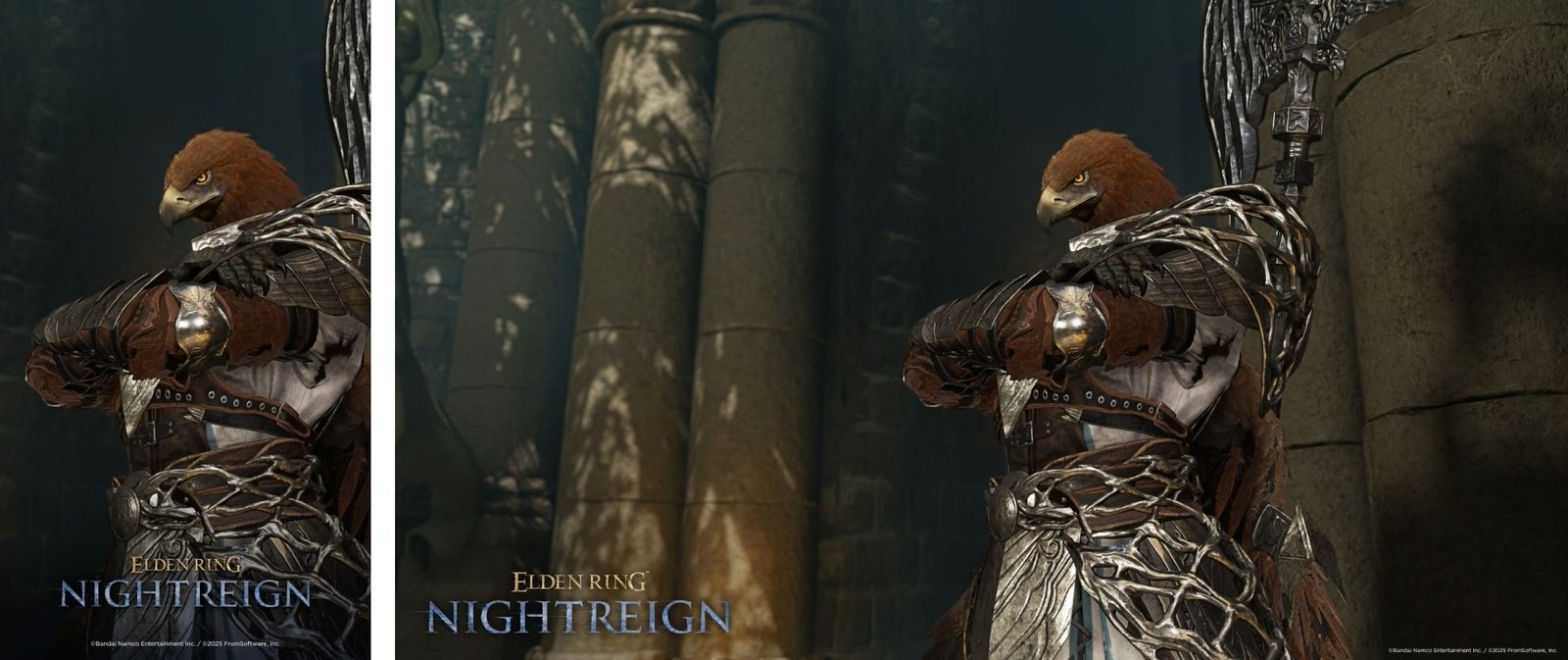 Elden Ring Nightreign Guardian