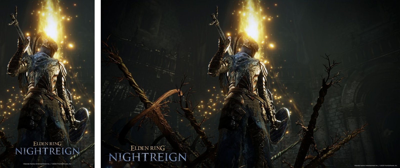 Elden Ring Nightreign - Wylder character art