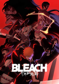 Bleach TYBW cover