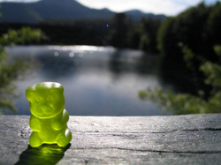 Gummy Candy