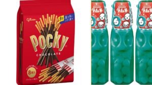 Official Japanese snacks featured in the TokyoTreat Akiba Snack Quest box